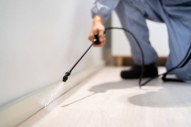 Licensed Termite Control service in Janesville, CA - Nex Pest Control