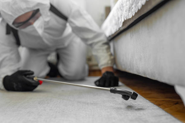 Professional Termite Control technician working in Janesville, CA