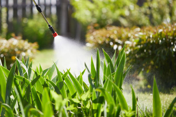 24/7 Emergency Termite Control experts in Janesville, CA