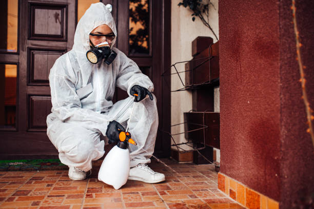 Reliable Termite Control contractor in Janesville, CA by Nex Pest Control